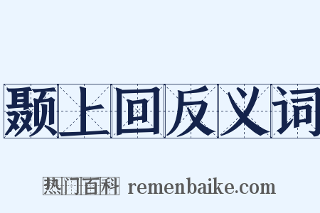颞上回反义词是什么意思的图片